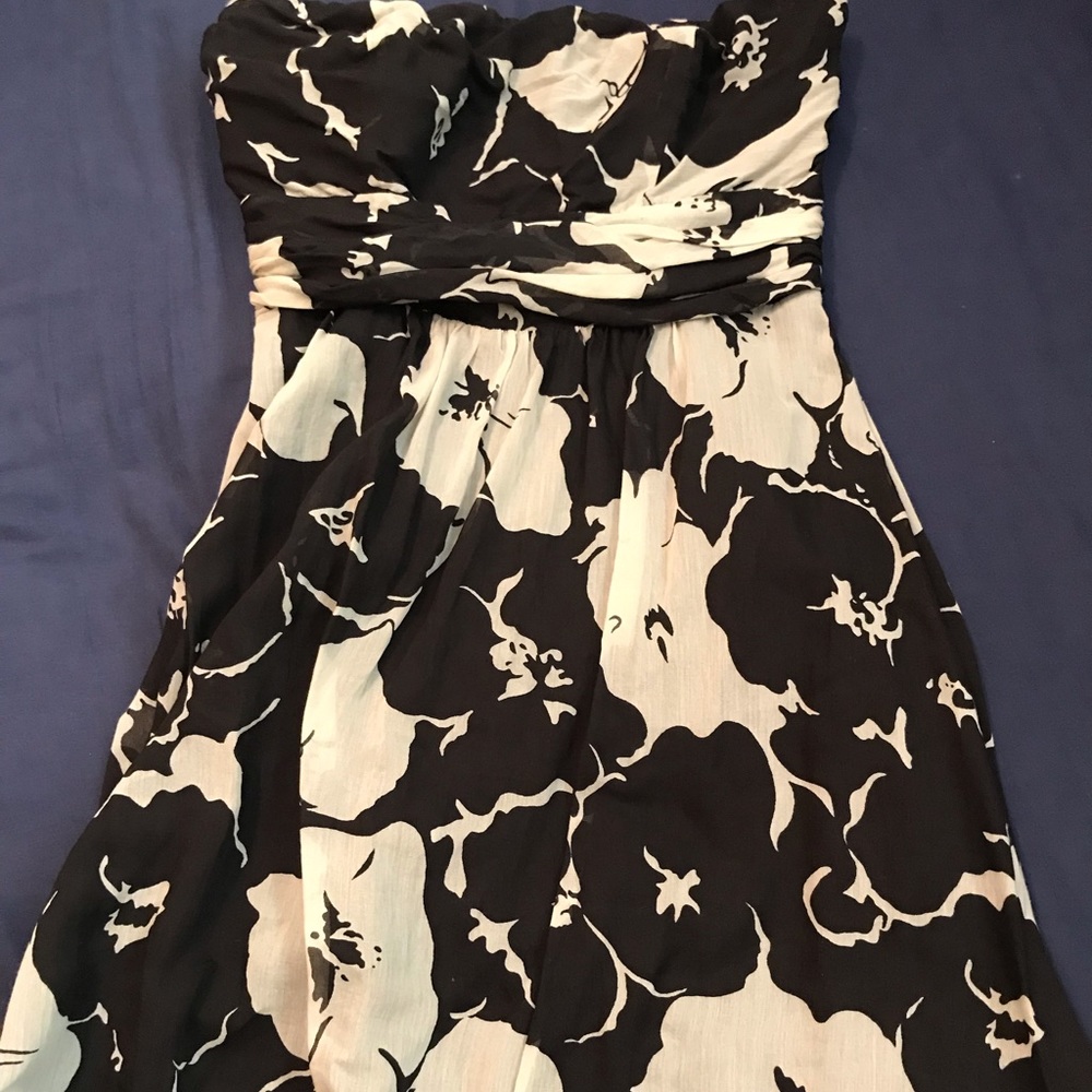 The Limited Ann Taylor Clothing Lot
